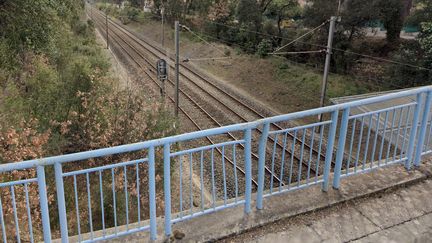 L'accident a eu lieu sur une voie de chemin de fer traversant&nbsp;Pugent-sur-Argens (Var), le 17 novembre 2022. (GOOGLE MAPS)