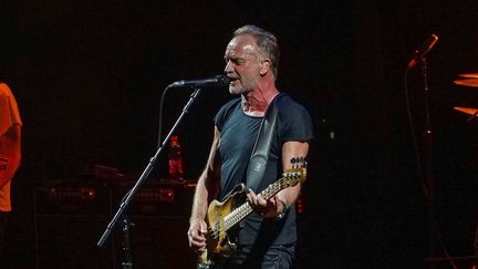 Le chanteur Sting en concert lors de sa tournée 2019 (APZ / EFE)