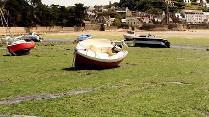 Une plage de Saint-Michel-en-Gr&egrave;ve (C&ocirc;tes-d'Armor), envahie d'algues vertes, le 9 ao&ucirc;t 2009. (FRED TANNEAU / AFP)