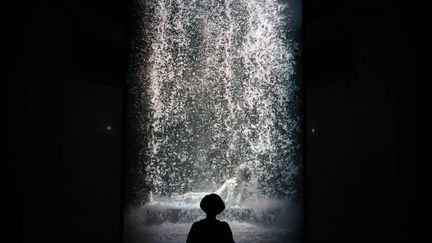 Une personne regarde une oeuvre vidéo monumentale de Bill Viola, "The Journey of the soul", au musée des beaux-arts Pouchkine de Moscou (Russie) le 21 mars 2021. (ANTON NOVODEREZHKIN/TASS/SIPA US / SIPA)