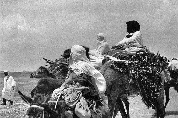 "Voyage en Algérie" de Françoise Saur
 (Françoise Saur)