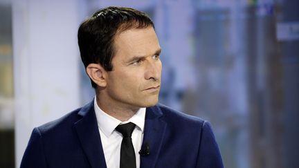 Le ministre de l'Education nationale, Beno&icirc;t Hamon, explique son d&eacute;part du gouvernement, le 25 ao&ucirc;t 2014, sur le plateau du JT de France 2. (BERTRAND GUAY / AFP)