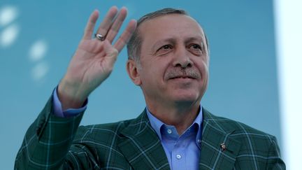 Le président turc,&nbsp;Recep Tayyip Erdogan, lors d'un meeting à Istanbul, le 15 avril 2017. (BERK OZKAN / AFP)