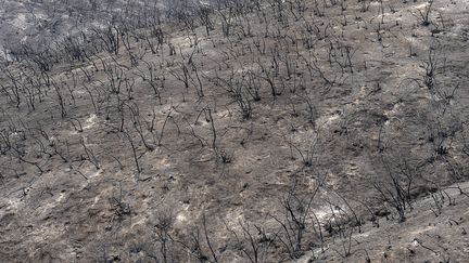 Un paysage&nbsp;de cendres après le passage de l'incendie Mendocino Complex en Californie, le 6 août 2018.&nbsp; (PAUL KITAGAKI JR./ ZUMA / REA)