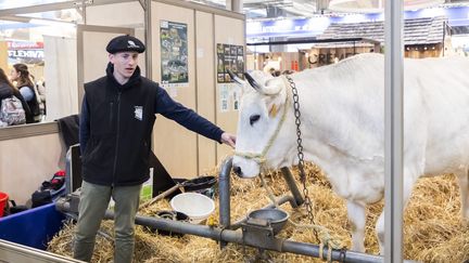 Un éleveur avec une vache au Salon de l'agriculture, le 25 février 2024. (VINCENT ISORE / MAXPPP)