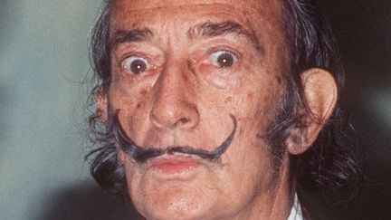 Salvador Dali à Paris en 1972
 (Salvador Dali / STF / AFP)