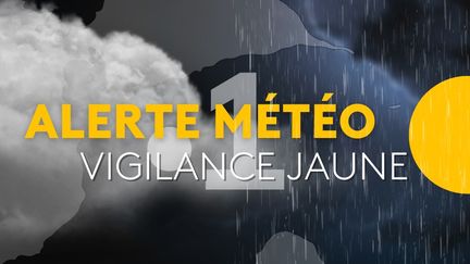 Vigilance jaune (Joey Zita - Guadeloupe La 1ère)