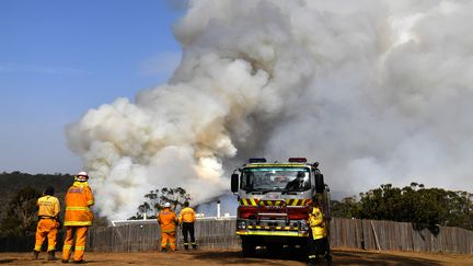 Des pompiers luttent contre un incendie à Penrose,&nbsp;en&nbsp;Nouvelle-Galles du Sud, le 10 janvier 2020. (SAEED KHAN / AFP)