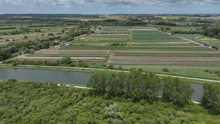 Tourisme : à la découverte du marais Audomarois