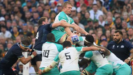 Pieter-Steph du Toit lors du match Afrique du Sud-Ecosse, en phase de poules du Mondial de rugby, le 10 septembre 2023. (NICOLAS TUCAT / AFP)