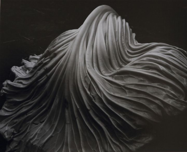 "Cabbage Leaf" d'Eward Weston. 1931
 (Edward Weston)