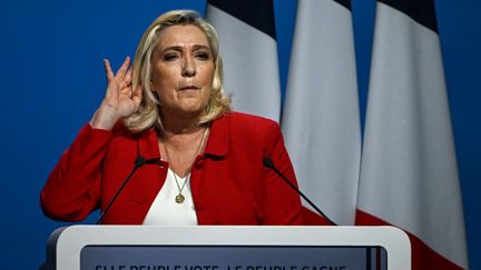 Marine Le Pen, la candidate du Rassemblement national&nbsp;à l'élection présidentielle, à Avignon (Vaucluse), le 14 avril 2022. (CHRISTOPHE SIMON / AFP)