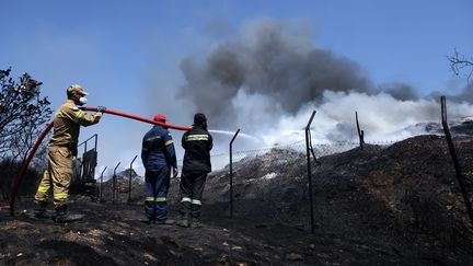 Les pompiers éteignent un incendie à Volos (Grèce), le 28 juillet 2023. (COSTAS BALTAS / ANADOLU AGENCY / AFP)