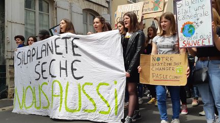 Manif des jeunes pour le climat à Orléans (Loiret), le 24 mai 2019. (ANNE OGER / FRANCE-BLEU ORLÉANS)