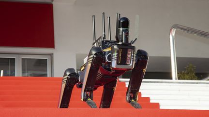 Un chien-robot de l'entreprise américaine Boston Dynamics sur le tapis rouge du Palais des festivals, le 9 février 2023, lors de l'inauguration du festival mondial de l'Intelligence artificielle, à Cannes (Alpes-Maritimes). (ERIC DERVAUX / HANS LUCAS / AFP)