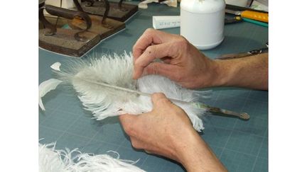 Le travail de couture des plumes sur un éventail
 (Duvelleroy)