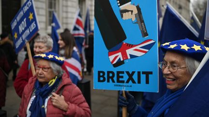 Manifestation anti-Brexit à Londres (Royaume-uni), le 8 janvier 2020. (DANIEL LEAL-OLIVAS / AFP)