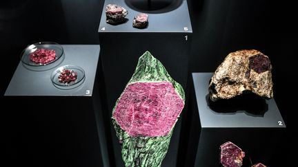 Exposition "Pierres précieuses" à la Grande galerie de l'Evolution du Musée d'histoire naturelle à Paris. (STEPHANE DE SAKUTIN / AFP)