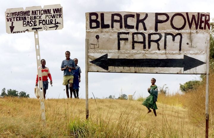 Ferme occupée de Devonia, dans une zone rurale à environ 40 km à l'est de Harare, le 21 juin 2000.  (Odd Andersen/AFP)