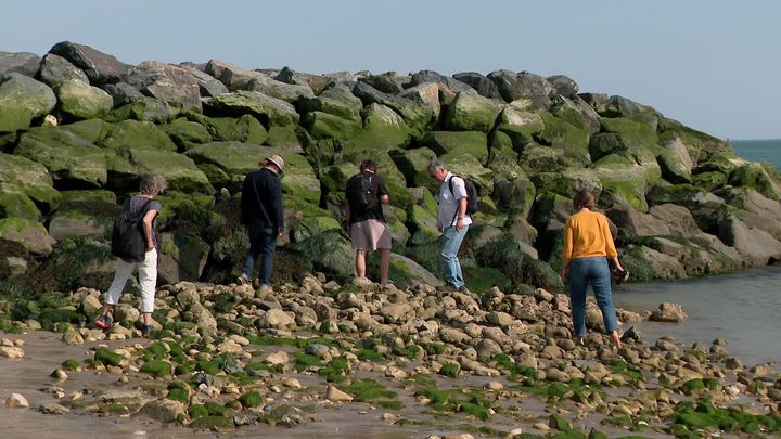 Une visite sur le terrain pour voir les effets concrets des expériences menées depuis plusieurs années sur les enrochements de Port-Neuf. (France 3 Poitou-Charentes)