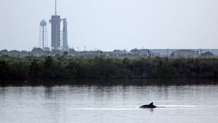 Vue du centre spatial Kennedy, en Floride (Etats-Unis), d'où doit décoller le vol habité de SpaceX, samedi 30 mai 2020. (GREGG NEWTON / GREGG NEWTON / AFP)