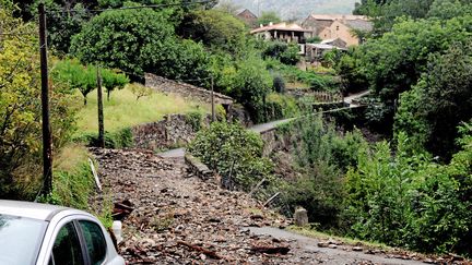 Des d&eacute;bris jonchent une route coup&eacute;e apr&egrave;s de violents orages &agrave; Saint-Vincent-d'Olargues&nbsp;(H&eacute;rault), le 17 septembre 2014. (MAXPPP)