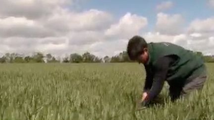 Environnement : la protection du sol, essentielle pour l'agriculture