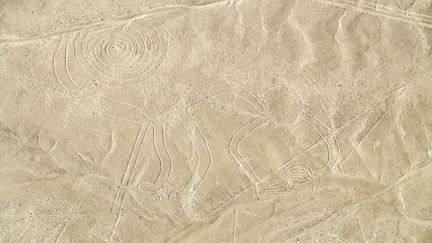 Les géolites sont des figures géométriques ou des silhouettes d’animaux qui ne peuvent être vus que du ciel (photo d'illustration d'un géolite de Nazca, le 14 octobre 2016). (WESTEND61)