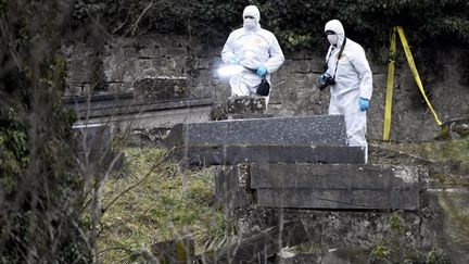  (L'interpellation de cinq mineurs se défendant de tout antisémitisme n'a pas tempéré l'indignation ressentie à Sarre-Union © maxPPP)