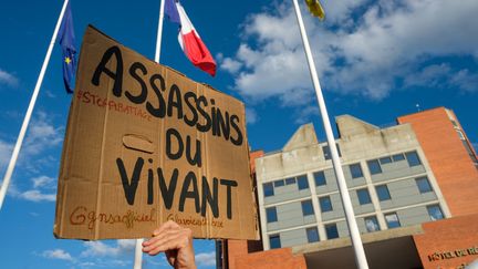 Manifestation contre la construction de l'autoroute A69 entre Toulouse et Castres, le 18 septembre 2023. (ANTOINE BERLIOZ / HANS LUCAS VIA AFP)