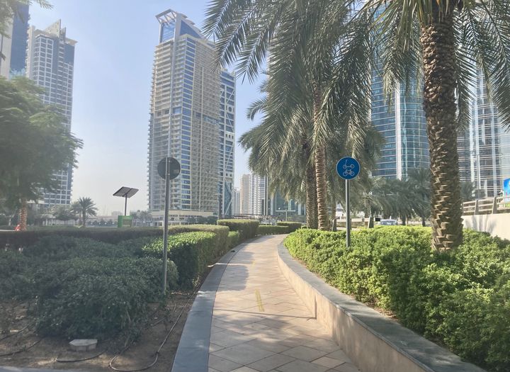 Une piste cyclable, à Dubaï, le 28 novembre 2023. (MARIE-ADELAIDE SCIGACZ / FRANCEINFO)