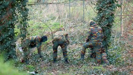 Des militaires, munis de détecteurs de métaux et accompagnés de chiens, ont fouillé les abords d'une maison du quartier de Rodenburg, à Courtrai (Belgique), jeudi 31 mars 2016.&nbsp; (NICOLAS MAETERLINCK / BELGA / AFP)