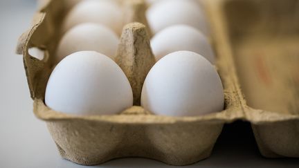 Treize lots d'œufs contaminés au&nbsp;fipronil ont été livrés à des établissements de l'ouest de la France, entre le 11 et le 26 juillet 2017. (MARCEL KUSCH / DPA / AFP)