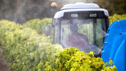 Un viticulteur traite ses vignes à Jurignac (Charente), le 15 juillet 2020 (illustration). (AFP / PHILIPPE ROY)