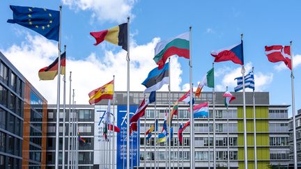 Des drapeaux européens devant le Parlement, le 20 juin 2023, au Luxembourg. (KEVIN REITZ / HANS LUCAS / AFP)