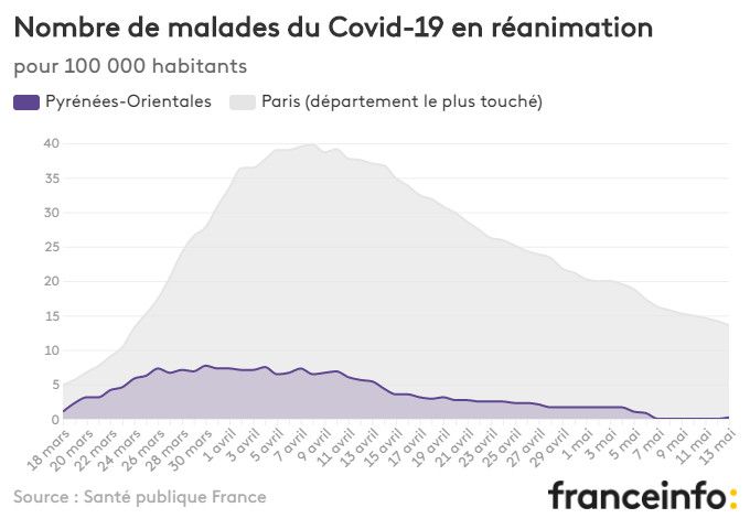 Nombre de malades du Covid-19 en réanimation pour 100 000 habitants. (FRANCEINFO)