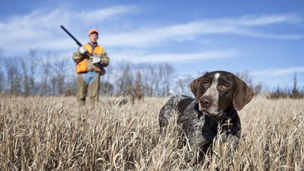 La saison de la chasse est ouverte depuis plusieurs semaines. Tous les livres de cuisine, des plus anciens aux plus modernes, consacrent de nombreux chapitres au gibier. (JMICHL / E+ / GETTY IMAGES)