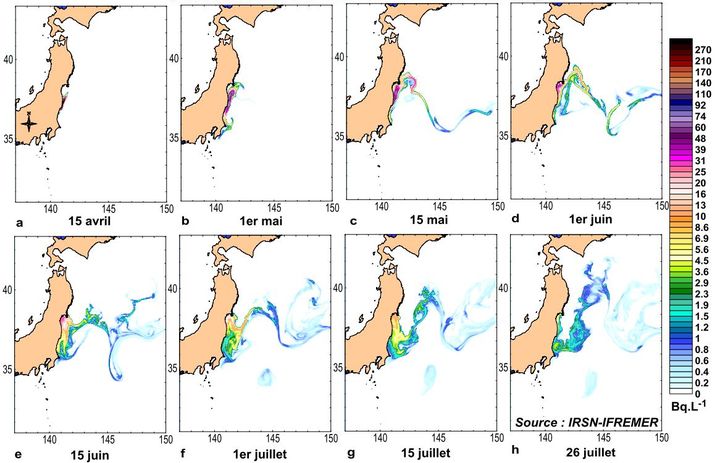 Simulation de la dispersion en mer des rejets de particules radioactives, le c&eacute;sium 137, apr&egrave;s l'accident de Fukushima, au Japon.&nbsp; (IRSN / IFREMER)