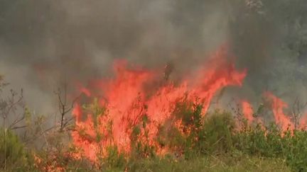 Incendies : le combat acharné des pompiers en Gironde