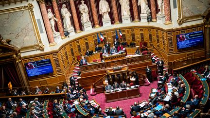 L'hémicycle du Sénat, au Palais du Luxembourg, à Paris, le 25 janvier 2023. (XOSE BOUZAS / HANS LUCAS / AFP)