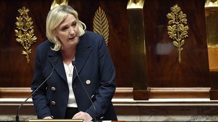 Marine Le Pen, à l'Assemblée nationale, le 6 décembre 2022. (JULIEN DE ROSA / AFP)