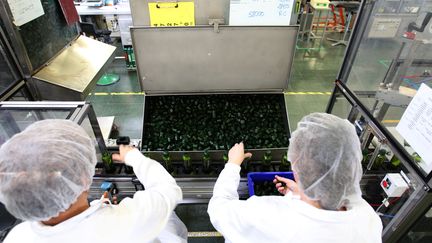 Des ouvriers dans l'usine Yves Rocher de La Gacilly (Morbihan). Photo d'illustration. (FRANÇOIS DESTOC / MAXPPP)