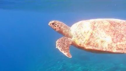 Les Iles Gili : un paradis déserté