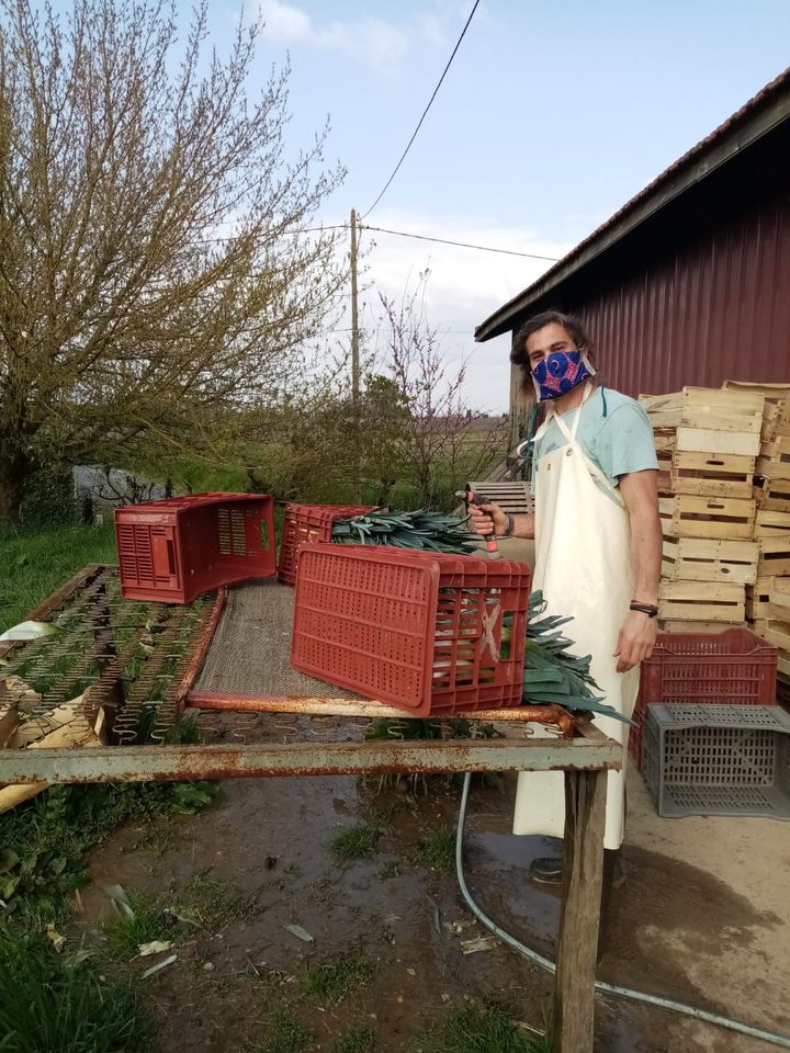 Raphaël, l'une des personnes travaillant dans l'exploitation de Marie, lave des légumes en portant un masque, le 23 mars 2020.&nbsp; (MARIE / FRANCEINFO)