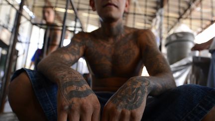 Des membres du MS13 dans&nbsp;la&nbsp;prison de Ciudad Barrios, au Salvador, en 2013. (MARVIN RECINOS / AFP)