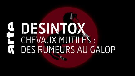 Désintox. Chevaux mutilés : de fausses rumeurs sur les réseaux sociaux (ARTE/2P2L)