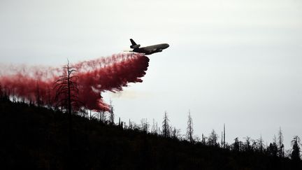 Les avions-citernes continuent de larguer du retardant, le 25 juillet 2022, au Nord-Est de l'"Oak Fire", à Jerseydale. (NEAL WATERS / ANADOLU AGENCY / AFP)