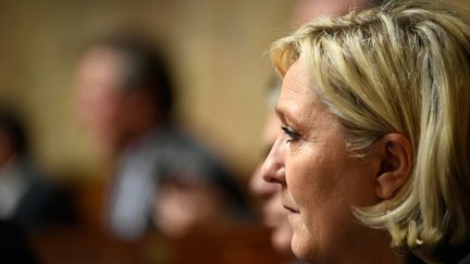 La présidente du Front national Marine Le Pen le 24 octobre 2017 à l'Assemblée nationale&nbsp; (ERIC FEFERBERG / AFP)