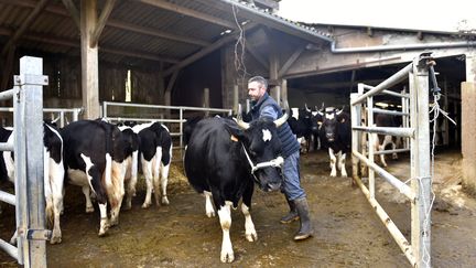 Un agriculteur dans sa ferme (Illustration).&nbsp; (LOIC VENANCE / AFP)