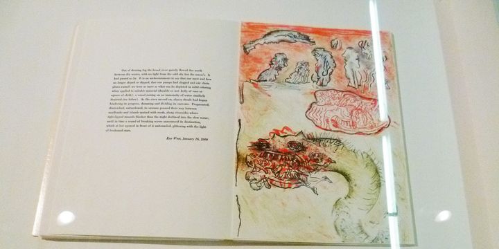 Neuf lithographie de Hugues Weiss illustrent le livre d'Harry Matthews 
 (Odile Morain)